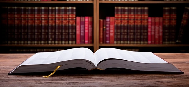 Protección constitucional en materia penal